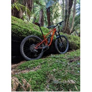 Revel Bike - Two Weekends Rental