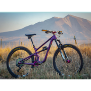 Revel Bike - Two Weekends Rental