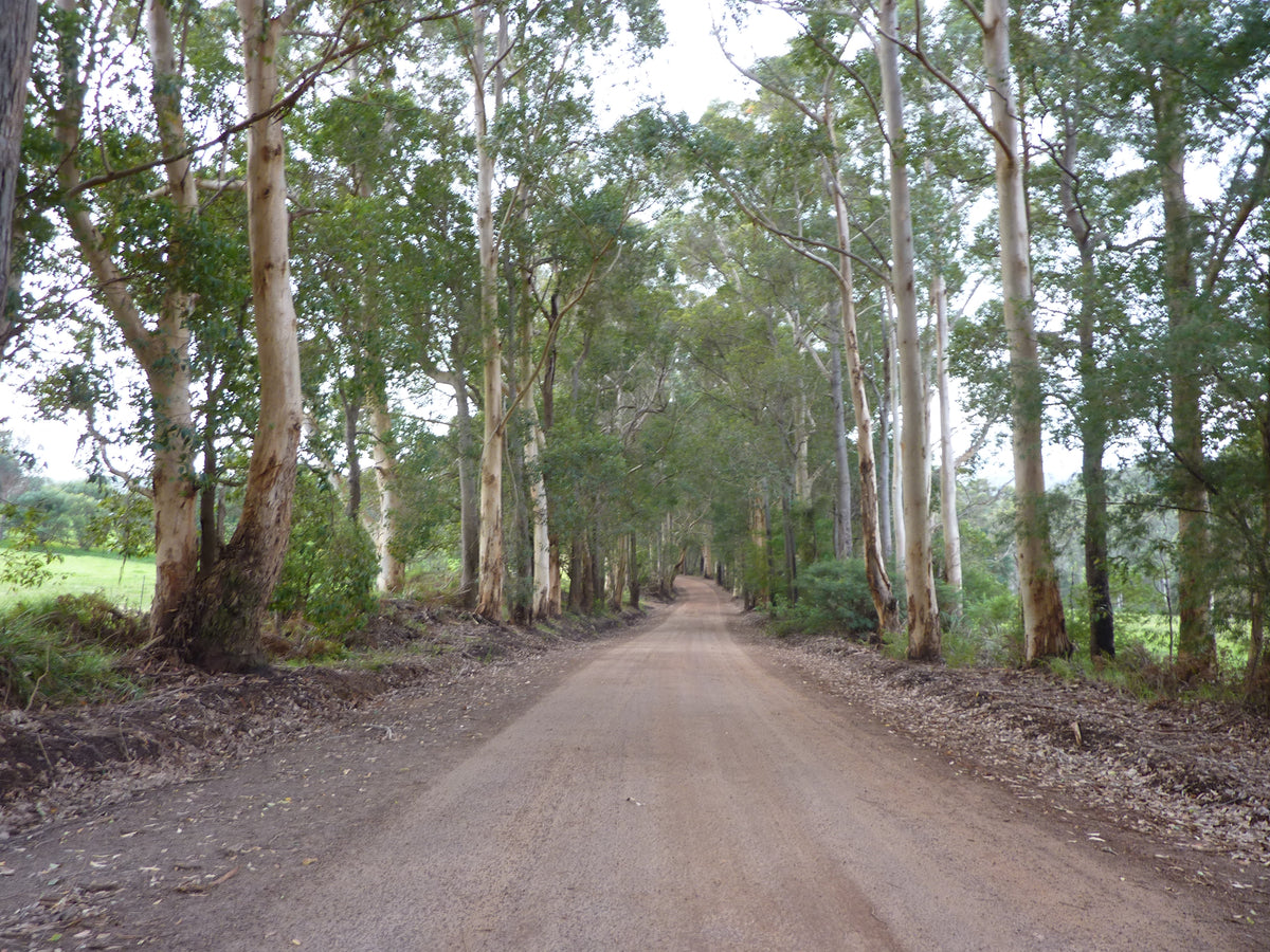 Are these the best value gravel bike parts in Australia?